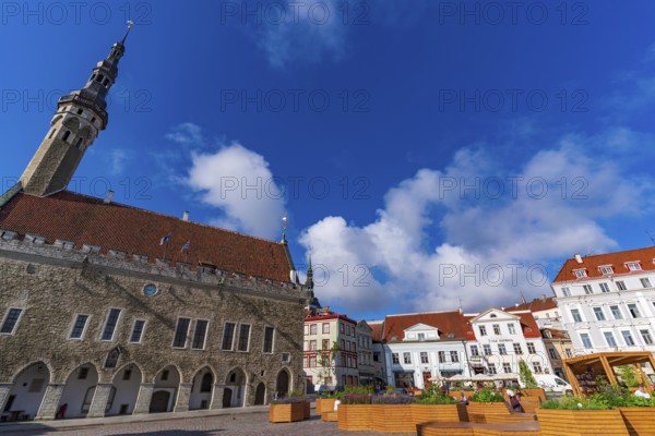 Tallinn Town Hall in the old town of Tallinn, Estonia, Europe