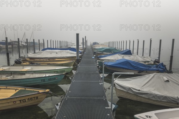Boat harbour on Lake Constance in the fog, Eschenz, Canton Thurgau, Switzerland, Europe