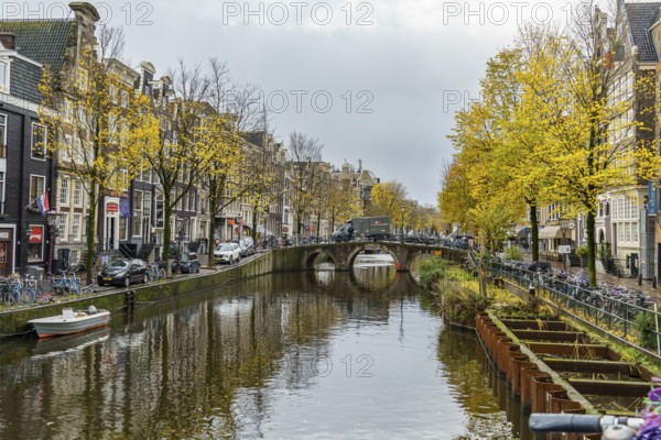 Canal with bridges and autumn atmosphere, surrounded by yellow leaves and city buildings, Amsterdam, Netherlands