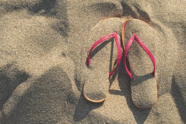 Pink sandals on the beach in the sand