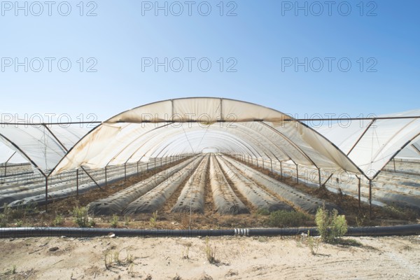 Greenhouse without plants. Sunlight