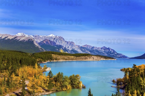 Mountain valley in the Rocky Mountains of Canada. Picturesque shores of Abraham Lake. Golden Autumn in the birch and aspen groves. Concept of active, ecological and photo tourism
