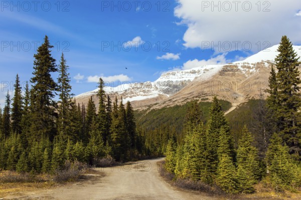 Valley at the foot of Lake Peyto. Autumn Journey to the Rockies of Canada. Active, eco and photo tourism concept
