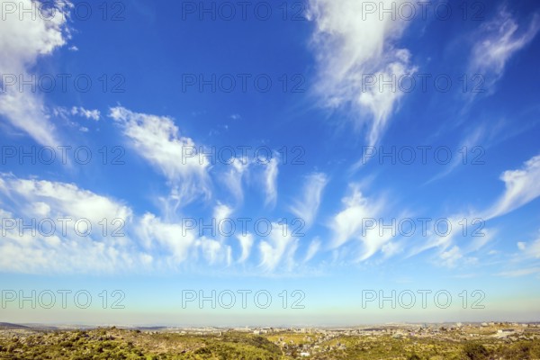 Bright blue spring sky. Spring in Israel. Flying light cirrus clouds. The warm spring sun illuminates the earth