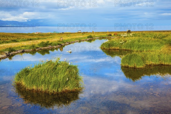 Small pond surrounded by green meadow. In the smooth thermal water reflects cloudy sky. Summer Iceland