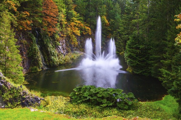 Dancing fountain in a quiet pond, surrounded by pine forest. Butchart Gardens on Vancouver Island, Canada, North America