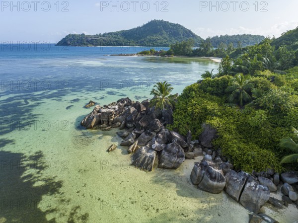 Rocks and palm trees surrounded by clear water on a tropical beach on an island, SEYCHELLEN, Port Glaud