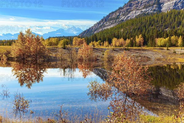 Sunny day in October. Picturesque Abraham Lake. Canadian autumn. The yellow and orange leaves of autumn trees are reflected in the smooth water of Abraham Lake