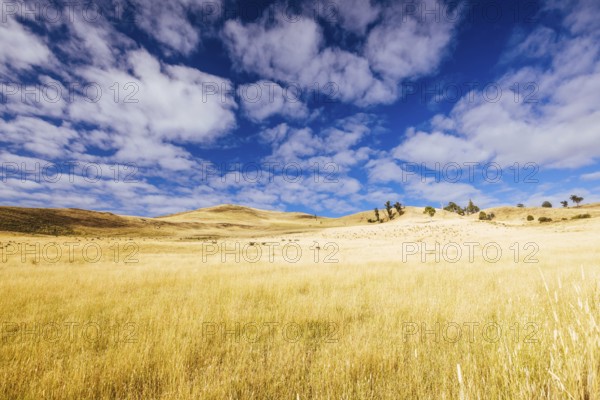 Summer time landscape in the Central Plateau Conservation Area near Ouse in Tasmania, Australia, Central Highlands, Australia, Oceania