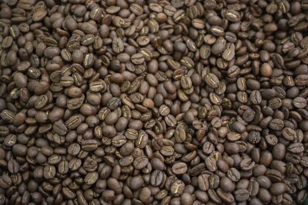 Coffee beans texture or coffee beans background