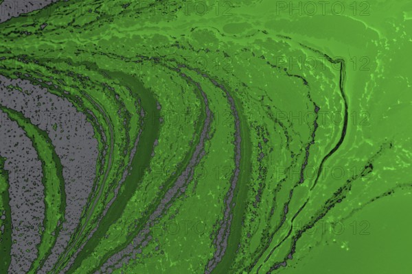 Abstract colored background. Marbling of aqueous surface design