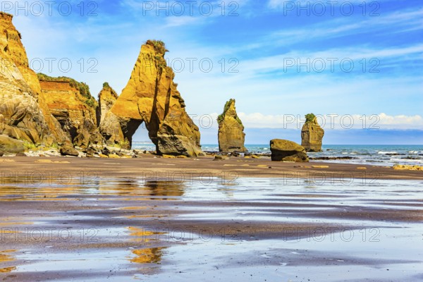 The Tongaporutu beach on the Pacific coast. New Zealand. North Island. Low tide on the Pacific coast. Magical journey to the ends of the world