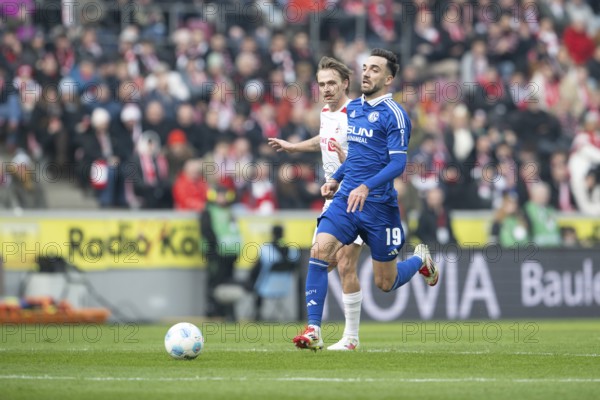 (DFL/DFB REGULATES PROHIBIT ANY USE OF PHOTOGRAPHS AS IMAGE SEQUENCES AND/OR QUASI-VIDEO), RheinEnergieStadion, Cologne, North Rhine-Westphalia, Matheo Raab (Hamburger SV, Goalkeeper, #19), 2nd Bundesliga, 1.FC Köln, Hamburger SV on 09/02/2025 at RheinEnergieStadion in Cologne Germany