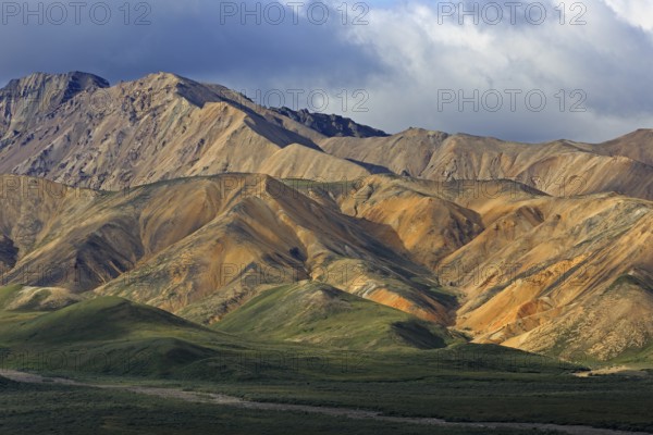 Denali National Park in Alaska