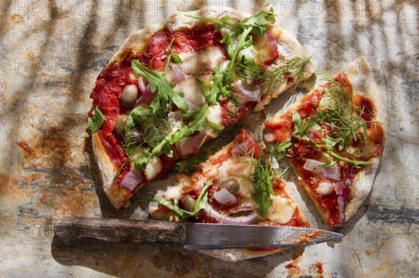 Pizza base with whole wheat flour with arugula and onion