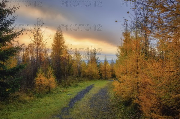 Beautiful Slovak unspoilt nature, a wonderful destination for vacation and relaxation