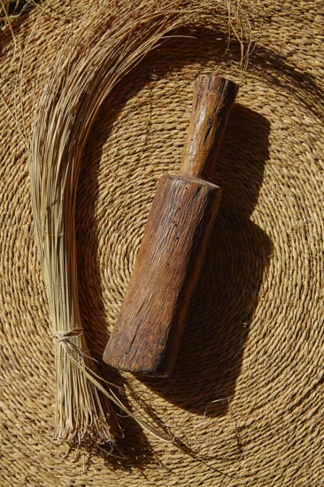 Esparto halfah grass used for crafts as cords basketry and espadrilles