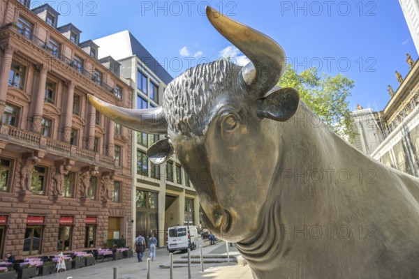 Bull, bronze sculpture Bull and Bear, Deutsche Börse, Börsenplatz, Frankfurt am Main, Hesse, Germany, Europe