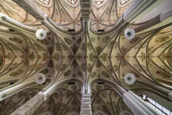 Roermond, Minderbroederskerk, 15th century, extensively restored between 1906 and 1908 under the direction of architect Pierre Cuypers and inaugurated in 1908, view into the vault of the nave