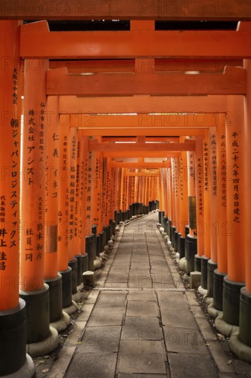 Torii, Fushimi Inari-Taisha, Fushimi, Kyoto, Japan, Asia