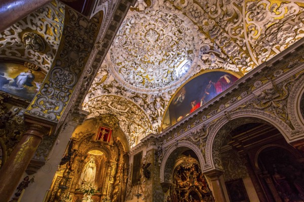 SEVILLE, ANDALUSIA, SPAIN, MAY, 25, 2017 : interiors of santa maria la blanca church, may 25, 2017, in Seville, andalusia, spain