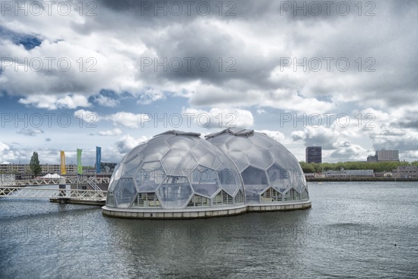 ROTTERDAM, NETHERLANDS, MAY 14, 2016: Modern sustainable and experimental floating houses in the rotterdam harbor