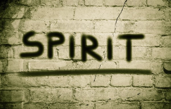 Spirit Concept