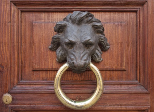 Antique door knocker in the form of a lion's head on old wooden door, Rome, Italy, Europe