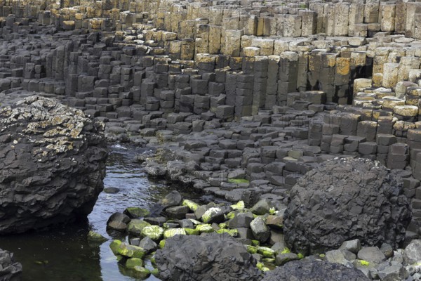 Basaltsäulen des Giant's Causeway, Grafschaft Antrim, Nordirland