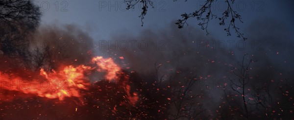 Fire with flying sparks, smoke and blazing flames at dusk. Landscape format. Forest fire with flying sparks, smoke development and blazing flames at dusk. Horizontal format