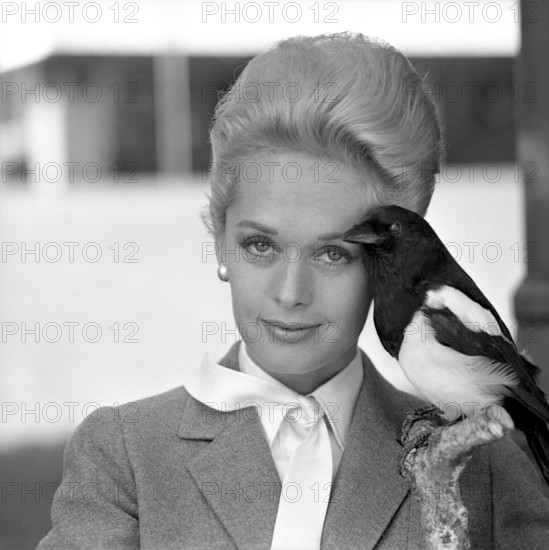 Tippi Hedren. American actress, born january 19 1930. She was discovered by film director Alfred Hitchcock and achieved great praise for her work in the suspense-thriller The Birds 1963. Pictured when visiting Sweden to promote the film