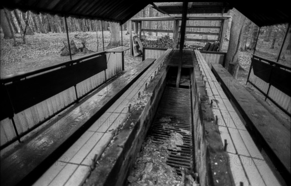 Germany, Eixen, 16.9.1991, property of a Politburo member, barbecue for several party guests, Europe
