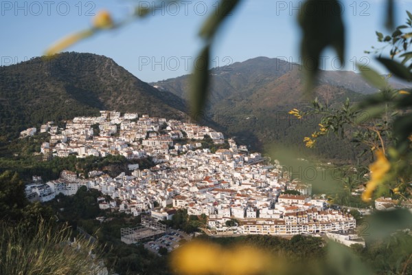 Warm evening light bathes the white village of Ojen, Spain, nestled in the lush mountains of Andalusia., Europe