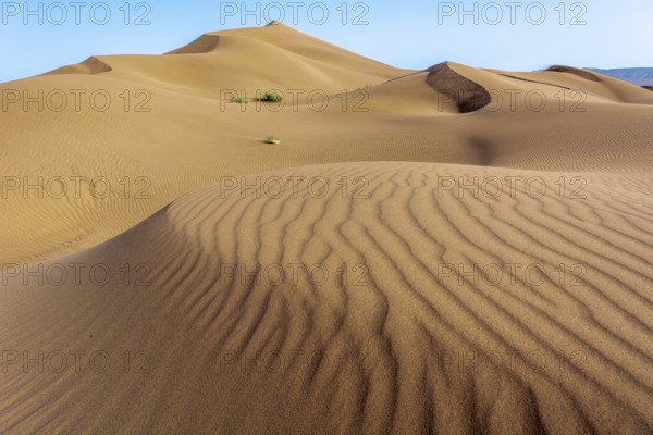 Erg Chebbi, sand desert of Merzouga, southeast of Morocco. Popular destination for travellers. Morocco