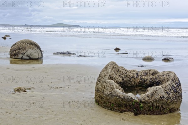 Moeraki Boulders are large, spherical boulders lying on the Koekohe Beach at Moeraki on the South Island of New Zealand