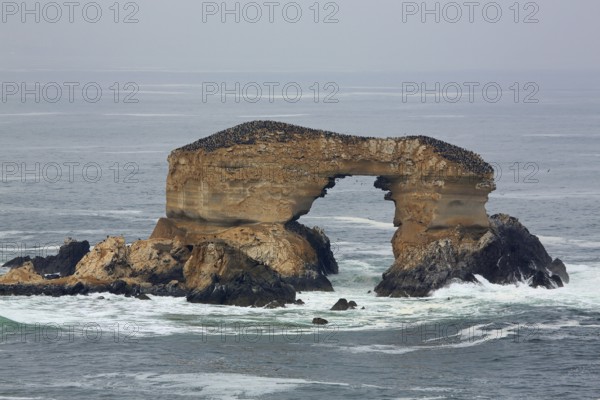 La Portada, rock gate, Antofagasta, Chile, South America