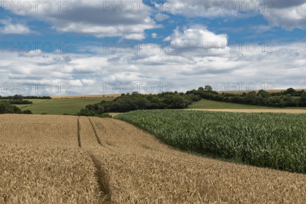 View over the German countryside in Rhineland-Palatinate with hay rolls and agriculture fields, Welschbillig, Germany, Europe