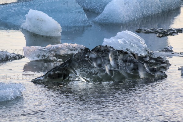 Ice pure like glass swimming in the Jokulsarlon glacial lake, Iceland, Europe