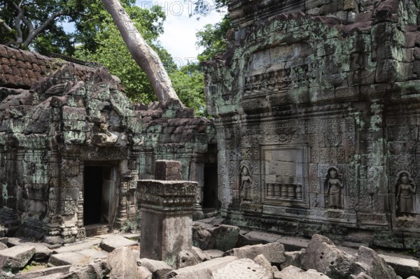 Buddhist temple buildings, jungle temples, mystical, Ta Prohm, Buddhist temple complex, UNESCO World Heritage Site, Angkor Wat, Siem Reap, Cambodia, Southeast Asia, Asia