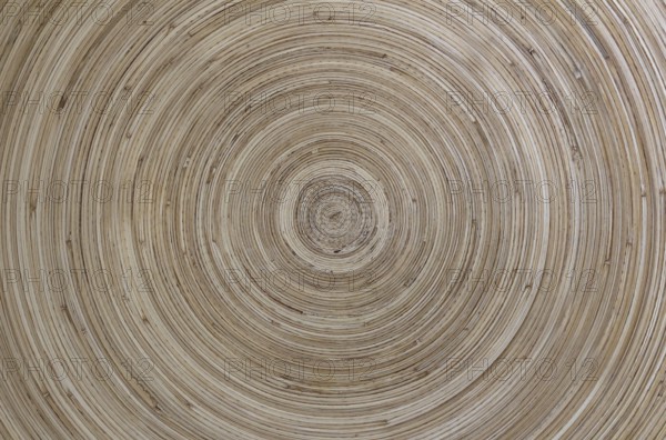 Concentric pattern of wood, with warm tones and clear