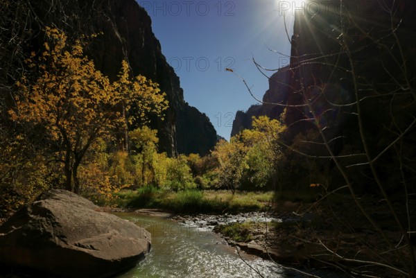 Narrows riverside walk Zion National Park