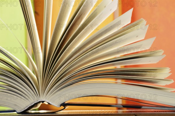 Composition with hardcover books in the library