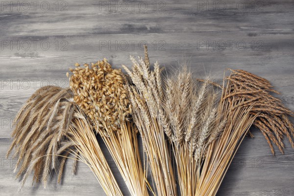Grain sheaves