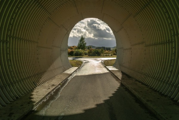 Through the tunnel