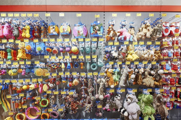 Toys for dogs and cats, Futterhaus shop, Buxtehude, Lower Saxony, Germany, Europe