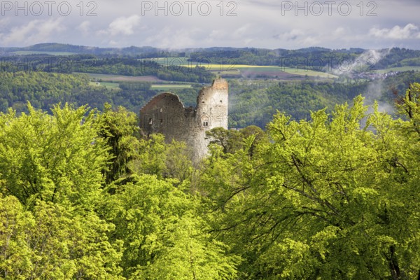 Ruined castle embedded in lush green vegetation under a cloudy sky, Altbodman castle ruins, Bodman, Lake Constance, Baden-Württemberg, Germany, Europe