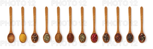 spices on a white background