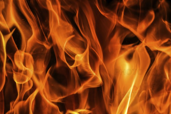 Flames of fire on a black background. The mystery of fire