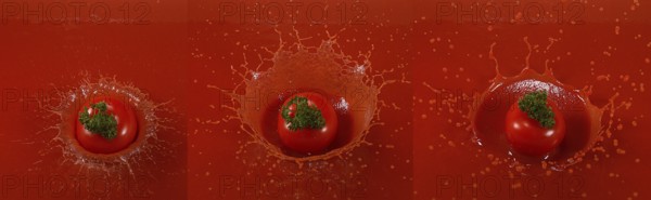 Cherry Tomatoe (solanum lycopersicum), Fruit falling into tomatoe's Juice