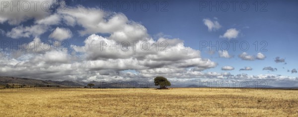 Landscape in the semi-desert Karoo in South Africa